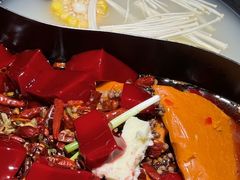 -阳阳老火锅(小南门店)