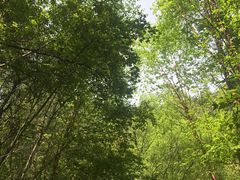 -叠溪松坪沟景区