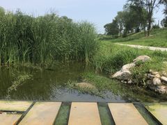 -大运河源头遗址公园