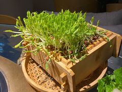 -凤园椰珍·臻品椰子鸡(保利时光里店)