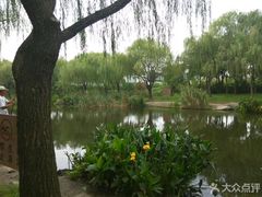 -新江湾城公园