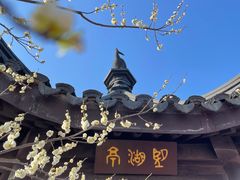 -香雪海
