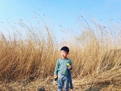 -绿堤公园