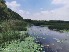 -同里国家湿地公园