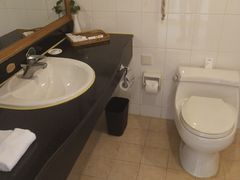 -成都绿洲大酒店(春熙路太古里店)