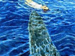 -东湖欢乐水世界