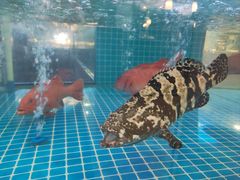 -文涵小院·邻里厨房