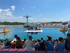 -秦皇岛乐岛海洋王国