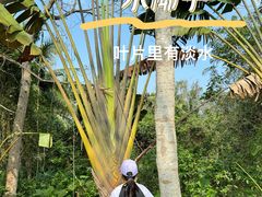-东寨港红树林旅游区