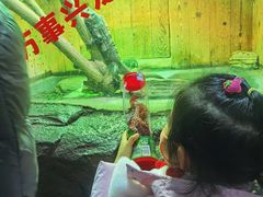 -太原动物园