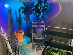 -Sarah西点·烘焙·餐厅(翰林府旗舰店)