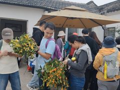 -苏州市吴中区光福窑上花果蜜饯厂