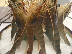 -红鼎豆捞·非遗鲍皇汤火锅(宝丰路店)
