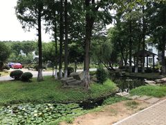 -湾里人家(旺山景区店)