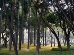 -白鹭洲公园