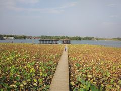 -石家庄市植物园