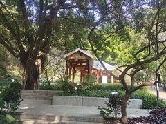 -金鸡山公园