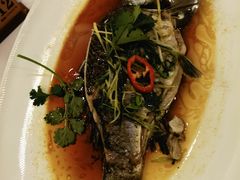 -金百门·顺德海鲜酒家(陈村店)