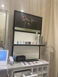 -Mr.JUDY洗个头发