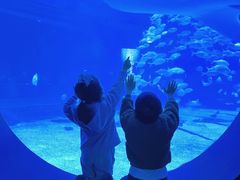 -烟台海昌鲸鲨海洋公园