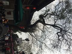 星巴克(南后街店)-星巴克(福州三坊七巷店)