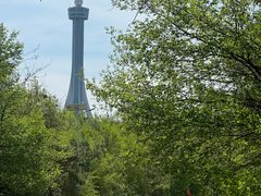 -帽儿山国家森林公园