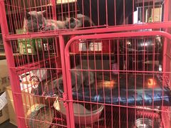 -第三空间·趣味桌游·轰趴.室内CS.剧本杀(大武汉1911店)