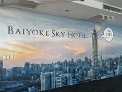 -彩虹云霄拜约克摩天塔