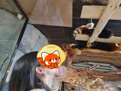 -Zoolung Zoolung动物主题公园(海信广场店)