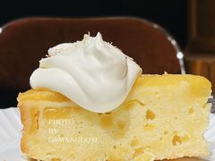 -猫里有甜