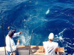 -小猫钓鱼海钓俱乐部(椰梦长廊店)