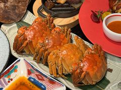 -松鹤精致料理(五一中路店)