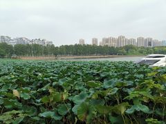 -东湖落雁景区