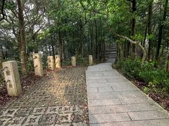 -梧桐山风景名胜区