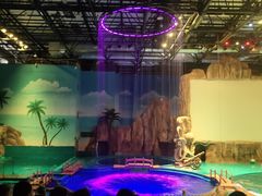 -华夏文旅海洋公园