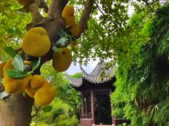 -南沙蒲洲花园