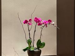 -丽晶轩中餐厅(重庆丽晶酒店)