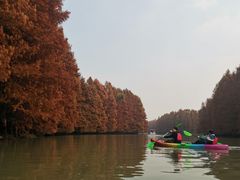 -上海海湾国家森林公园