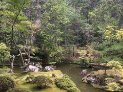 -西芳寺(苔寺)