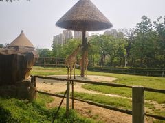 -南昌动物园