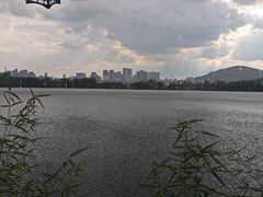 -东湖食堂·湖景餐厅•会议