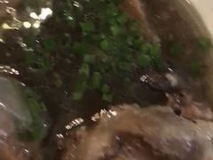 -东极岛海鲜