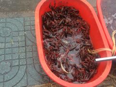 -红满堂·龙虾·牛蛙·淮扬菜(濠北路店)
