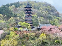 -牛首山文化旅游区