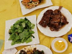 -鸿达渔港