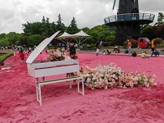 -上海鲜花港