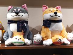 -逗柴咖啡屋·狗咖猫咖宠物桌游