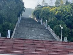 -铁山坪森林公园