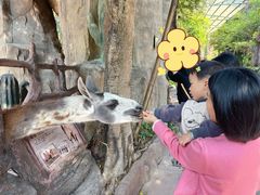 -长鹿旅游休博园