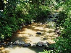 景点-阳台山森林公园
